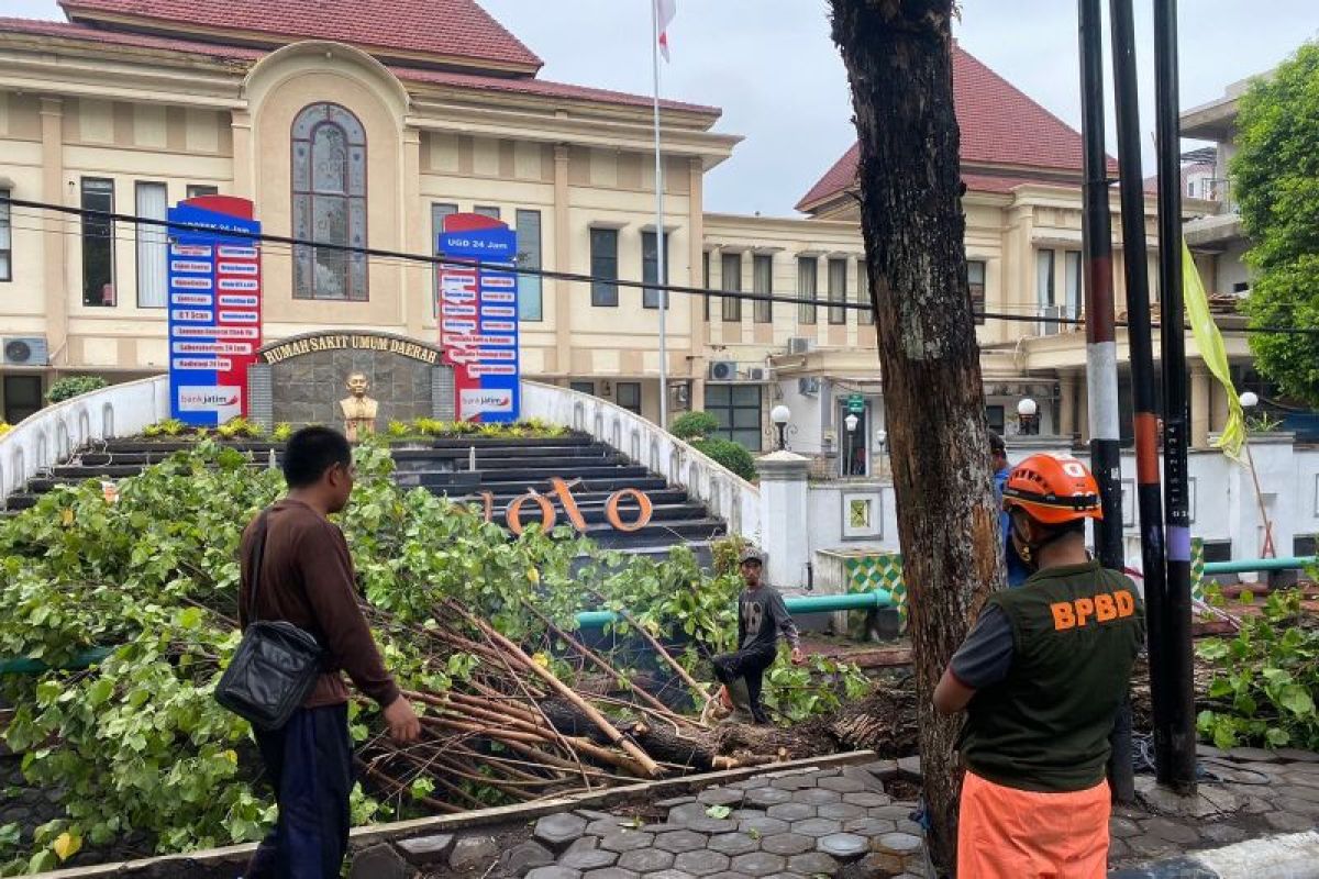 BPBD Lumajang imbau masyarakat waspadai cuaca ekstrem selama sepekan