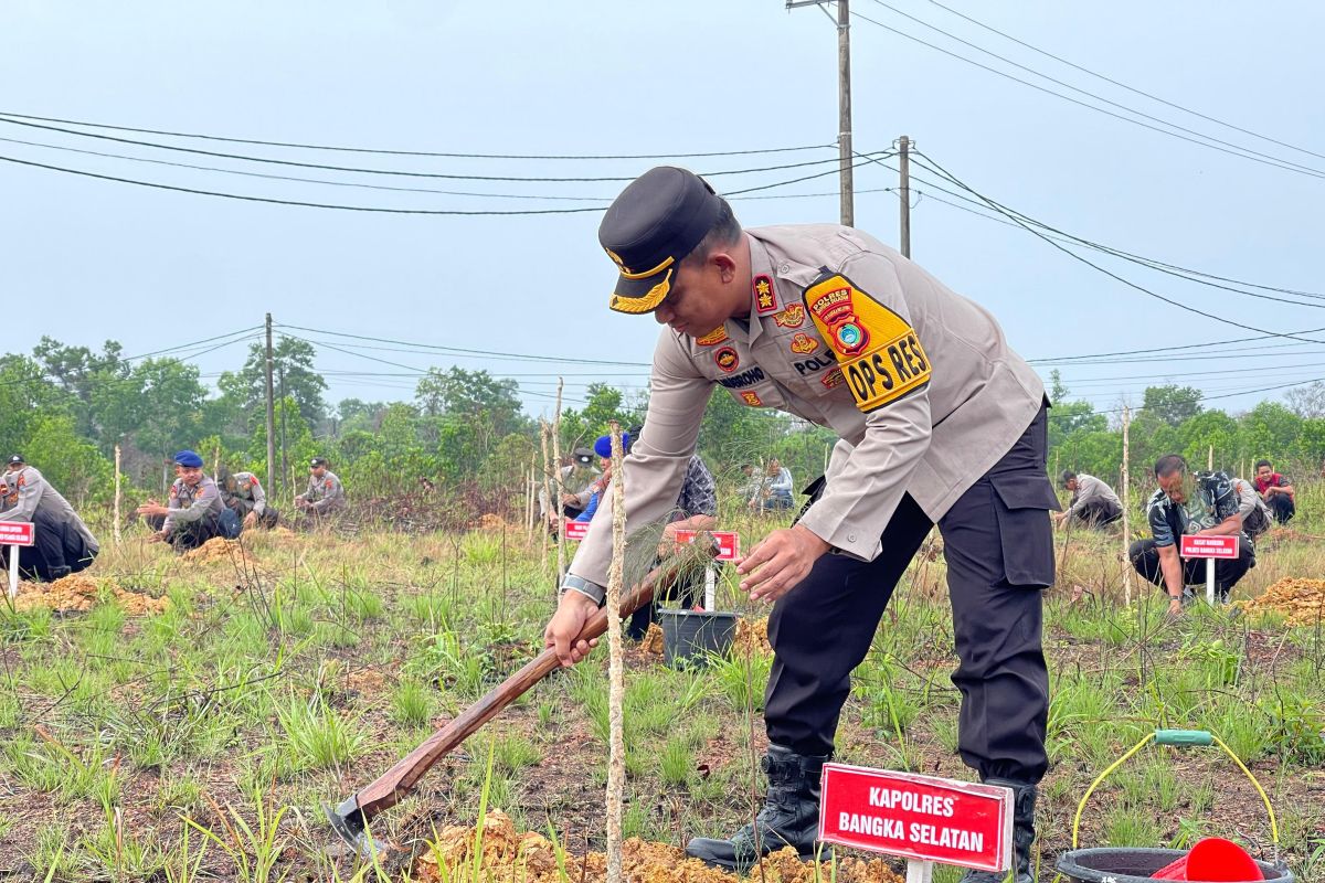 Polres Bangka Selatan tanam 1000 pohon Cemara dukung program 