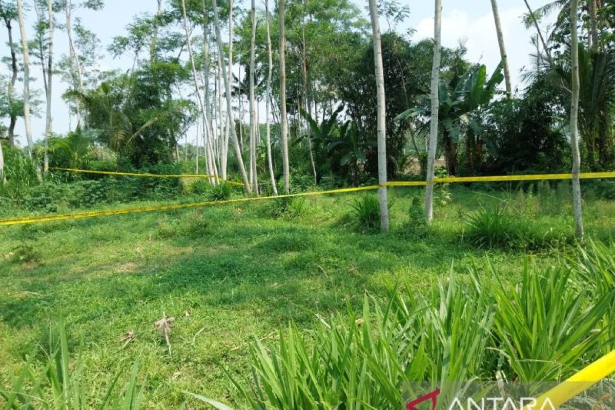 Polres Banyuwangi dalami keterangan saksi ungkap kasus pembunuhan anak