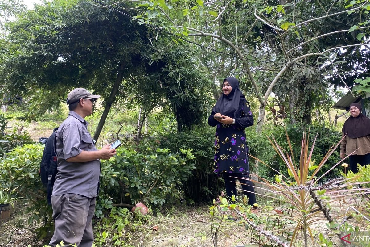 Kaum perempuan sulap gersangnya Pulau Pemping menjadi sejuk