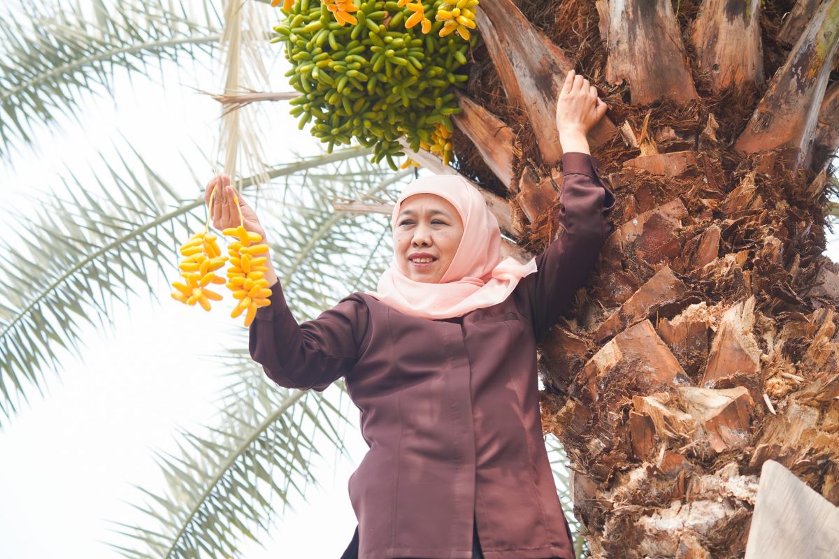 Khofifah ajak warga kunjungi Kurma Park Pasuruan