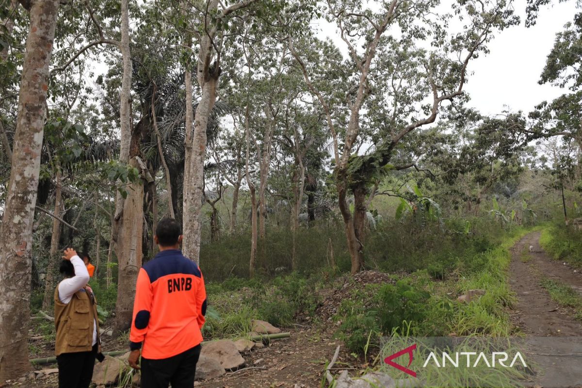 BNPB akan relokasi enam desa di Flores Timur