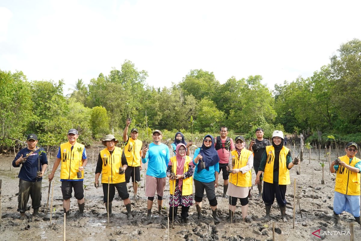 ULM hijaukan laboratorium lahan basah di mangrove Kotabaru