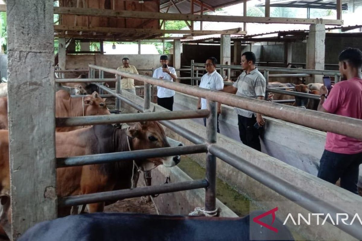 Kadis Peternakan Aceh tinjau penanganan penyakit brucellosis di Abdya