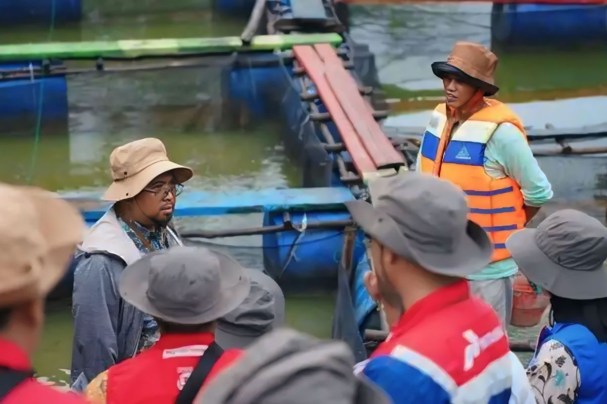 Pertamina Sumbagsel pulihkan lahan bekas tambang melalui Program Lentera Talang