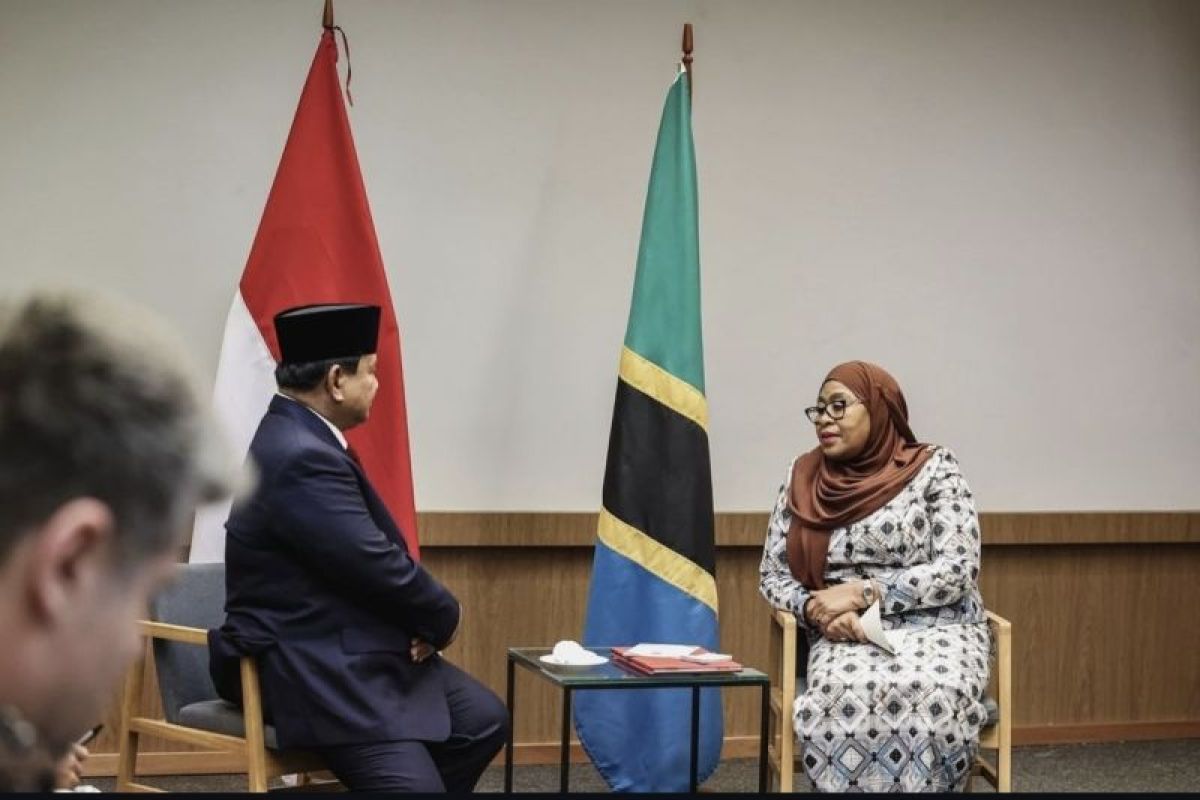 Indonesia, Tanzania discuss energy, gas cooperation in Brazil