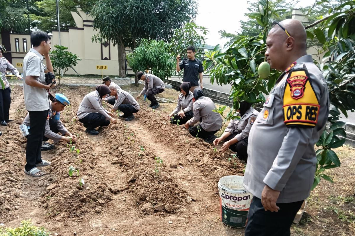 Polres Serang manfaatkan lahan kosong bantu jaga ketahanan pangan