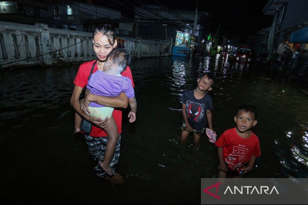 Tiga RT di Pluit Jakarta Utara masih terendam rob