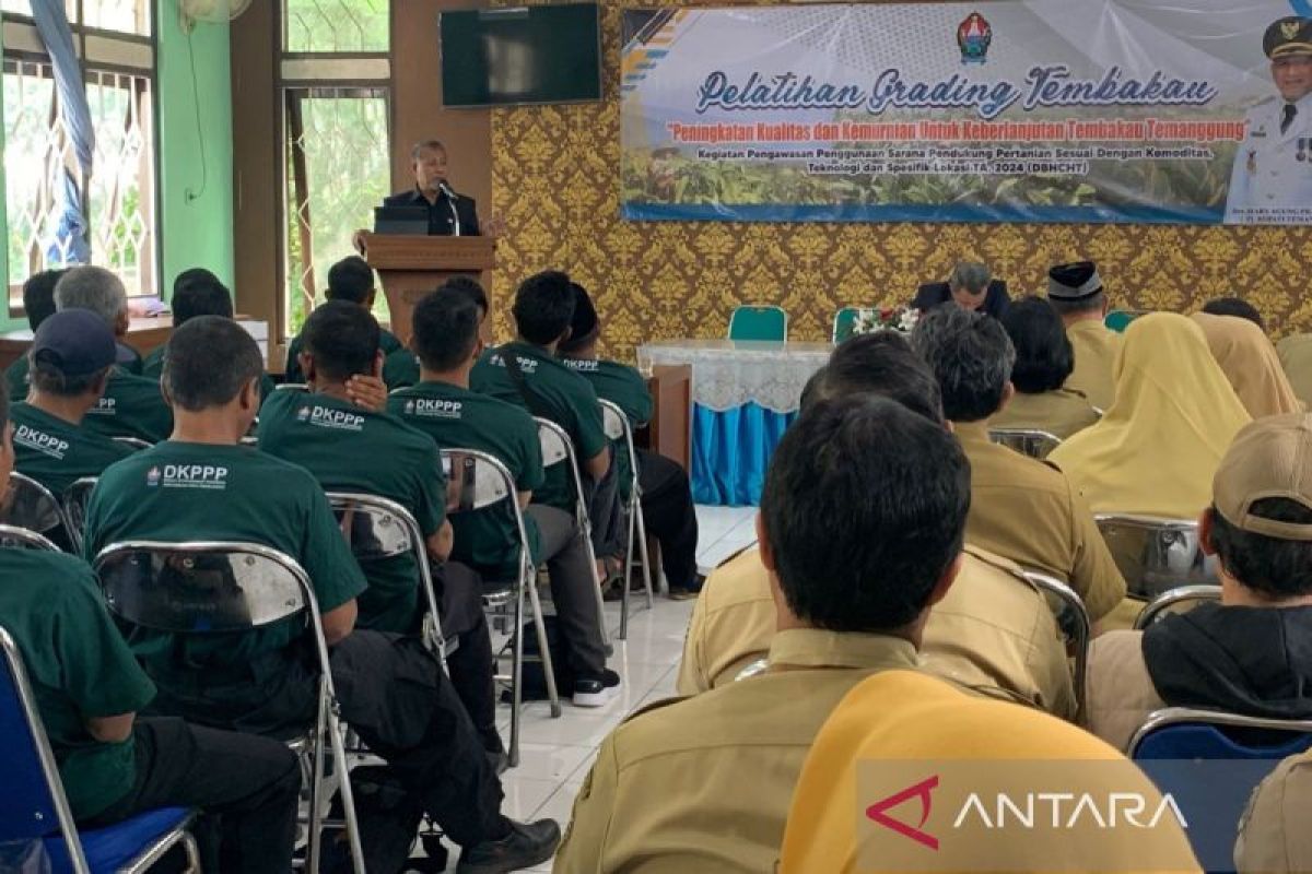 Petani Temanggung dilatih memilah tembakau