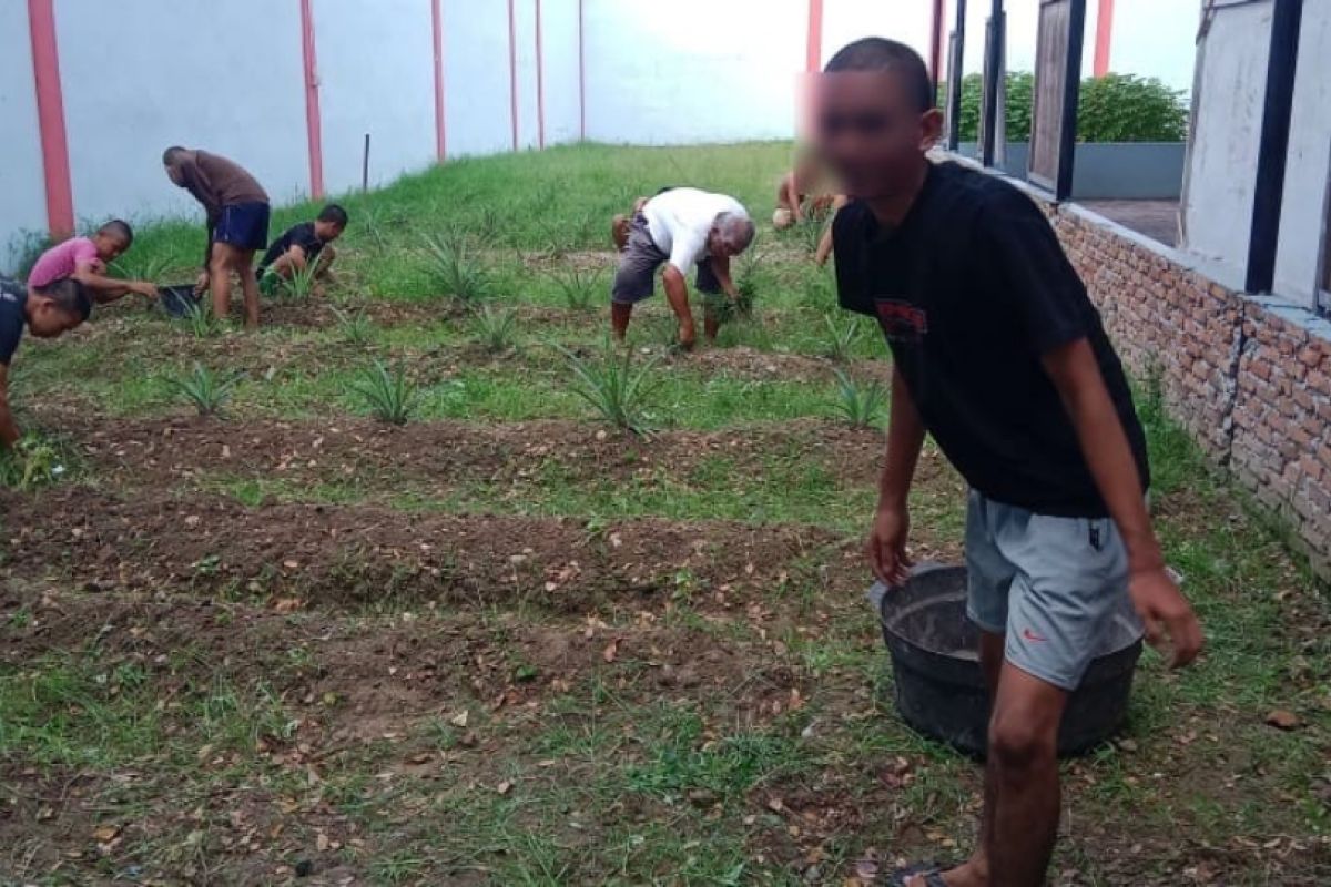 LPKA Medan siapkan lahan untuk melatih anak binaan bercocok tanam sayuran