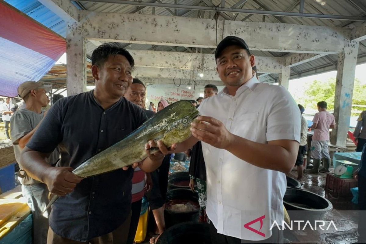 Bobby Nasution kunjungi nelayan Pantai Labu