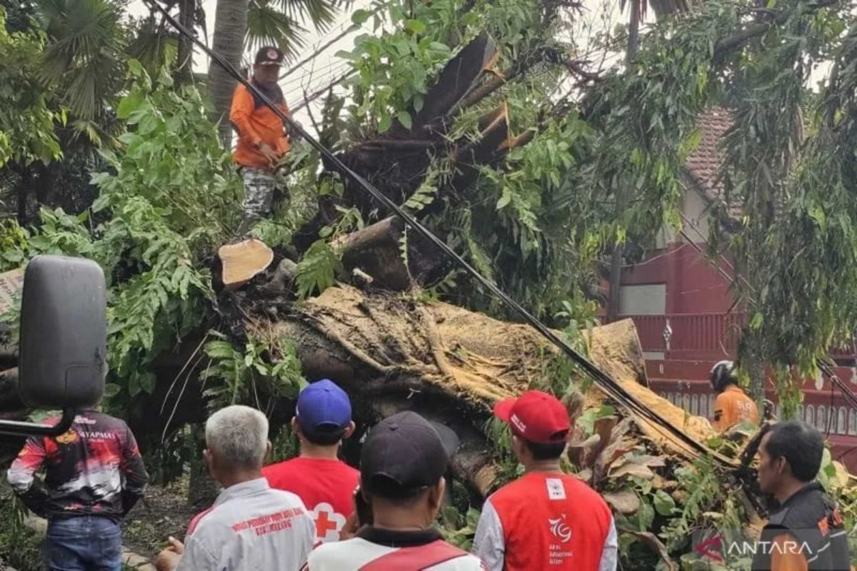 BPBD Malang petakan wilayah rawan terdampak bencana hidrometeorologi