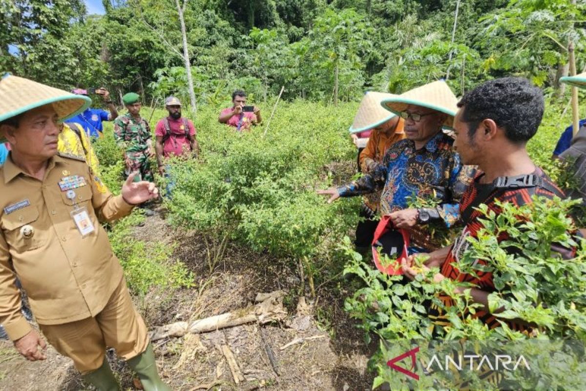 Pj Gubernur Papua minta OPD jaga stabilitas harga jelang perayaan Natal