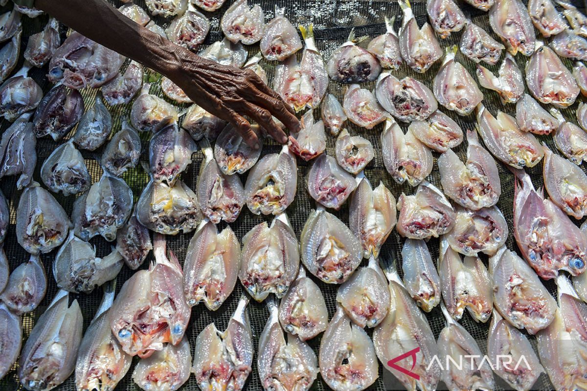 Produksi ikan asin menurun di Kota Serang