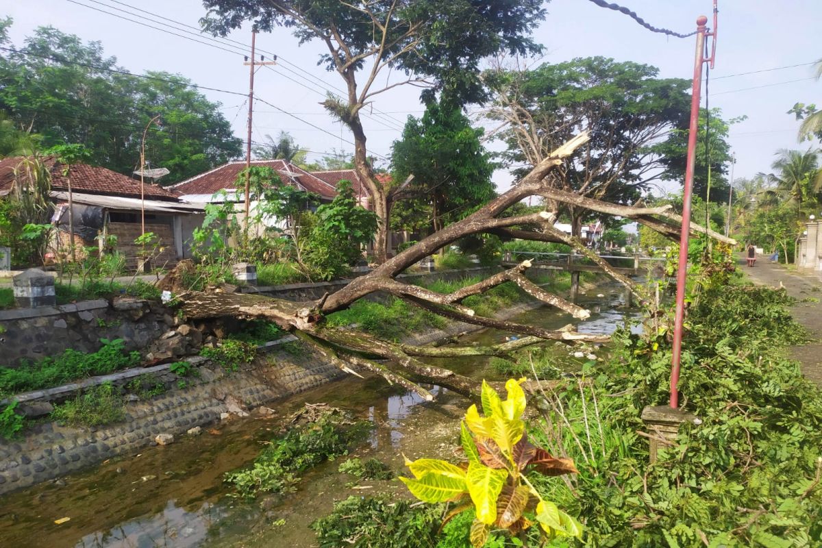 BMKG imbau warga Trenggalek dan 28 daerah lain waspadai potensi cuaca ekstrem