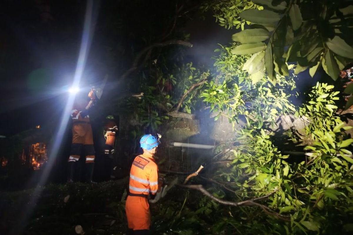 Pemkot Bogor pastikan bantuan bagi warga tertimpa pohon di Menteng