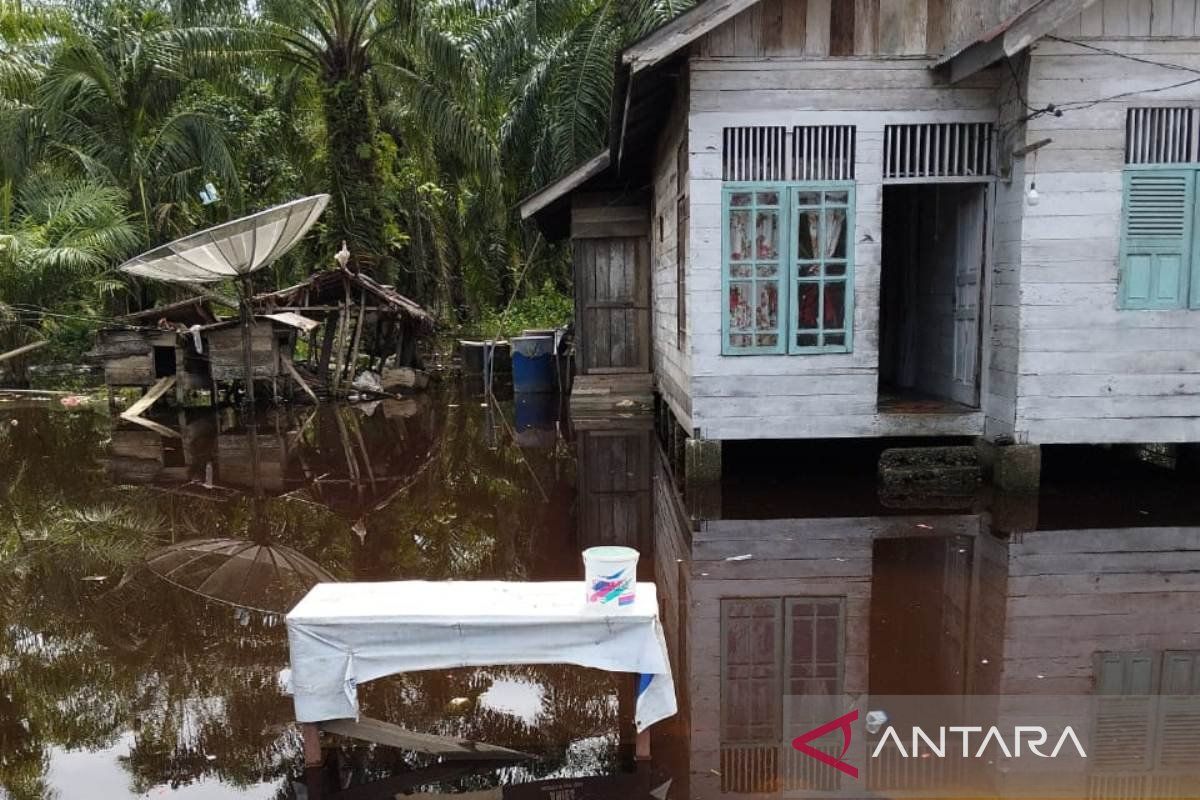 Sebanyak 3.811 jiwa warga Aceh Barat terdampak banjir