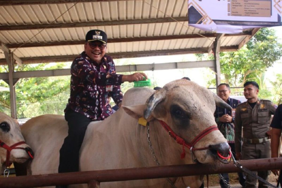 Pj Wako Payakumbuh dorong peternak lahirkan inovasi