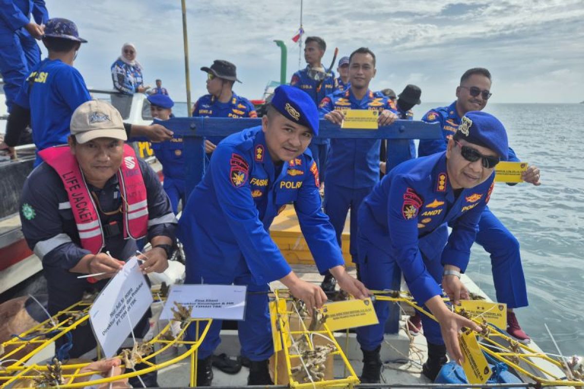 Peringati HUT ke-74 Polairud, Ditpolairud Polda Babel transplantasi terumbu karang di Pulau Panjang