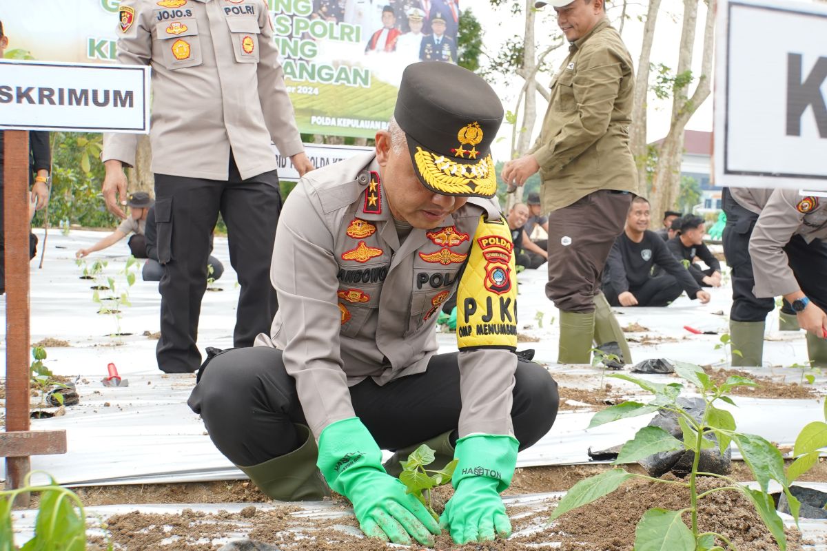 Dukung program ketahanan pangan, Polda Babel dan jajaran tanami ribuan bibit tanaman di lahan 50 hektar