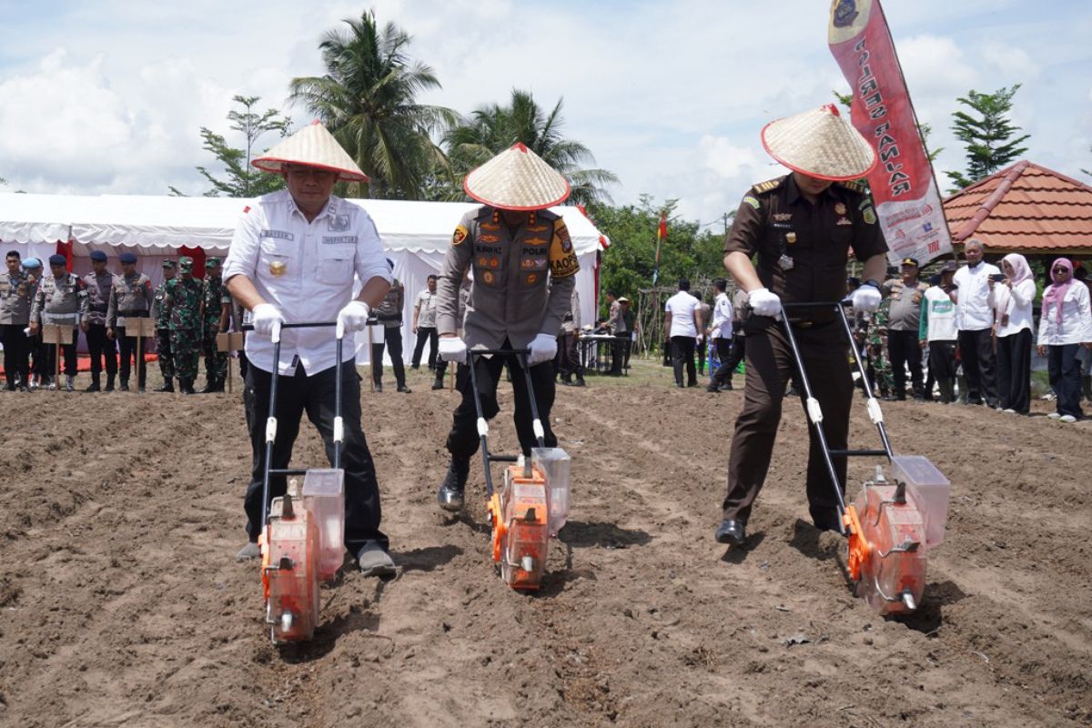 Pemkab Banjar dukung program ketahanan pangan Presiden Prabowo Subianto