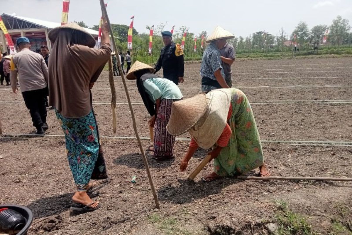 Polda NTB ajak masyarakat manfaatkan lahan kosong perkuat ketahanan pangan