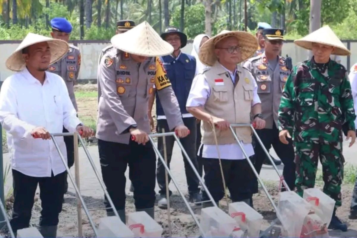 Lombok Utara perkuat ketahanan pangan