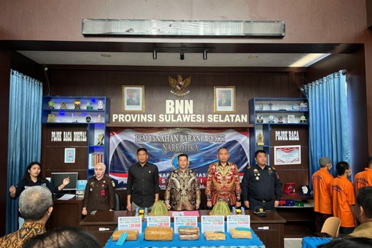 Pemusnahan 6,2 Kilogram Ganja oleh Kanwil Bea Cukai Sulbagsel dan BNNP Sulawesi Selatan