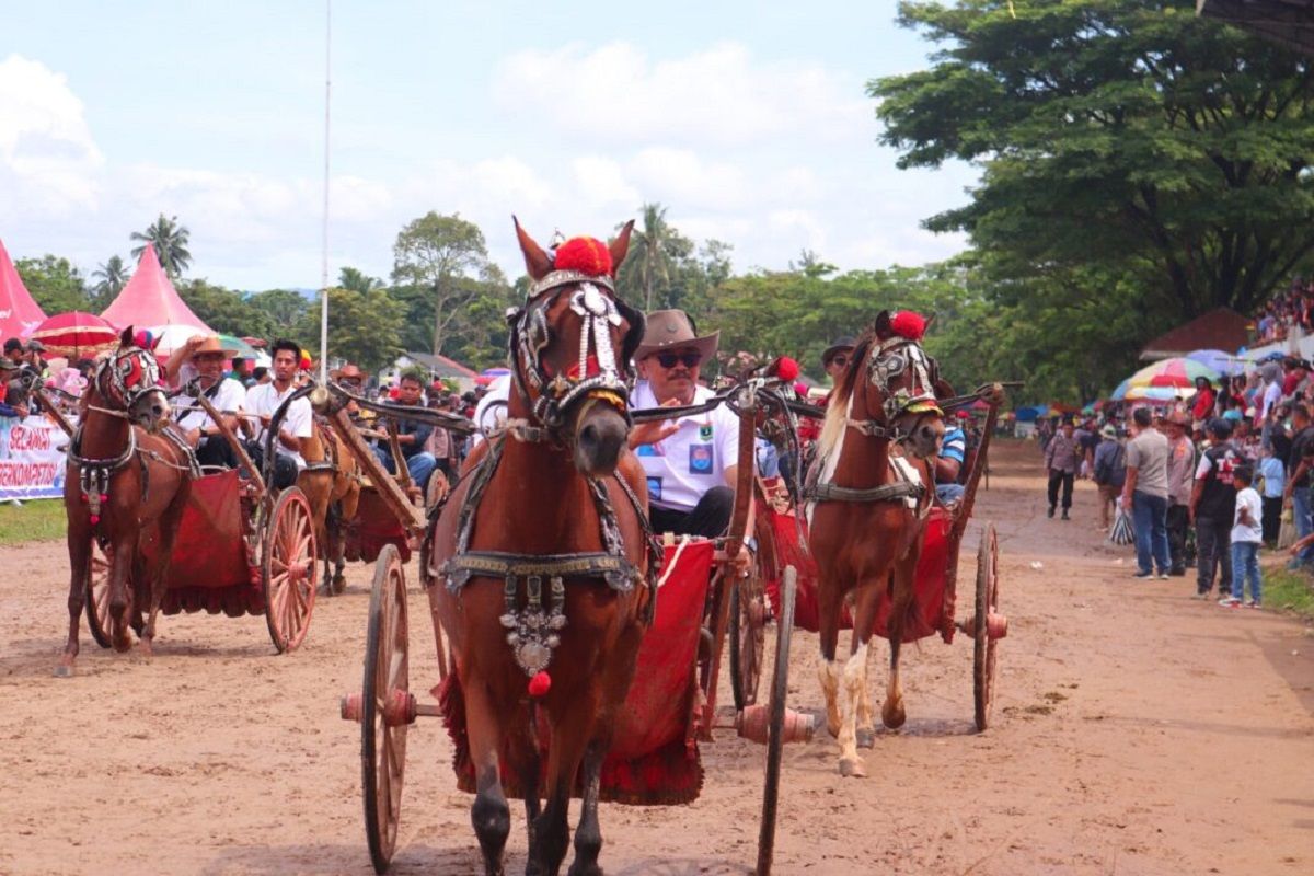 Pacu Kuda di Payakumbuh sukses dilaksanakan