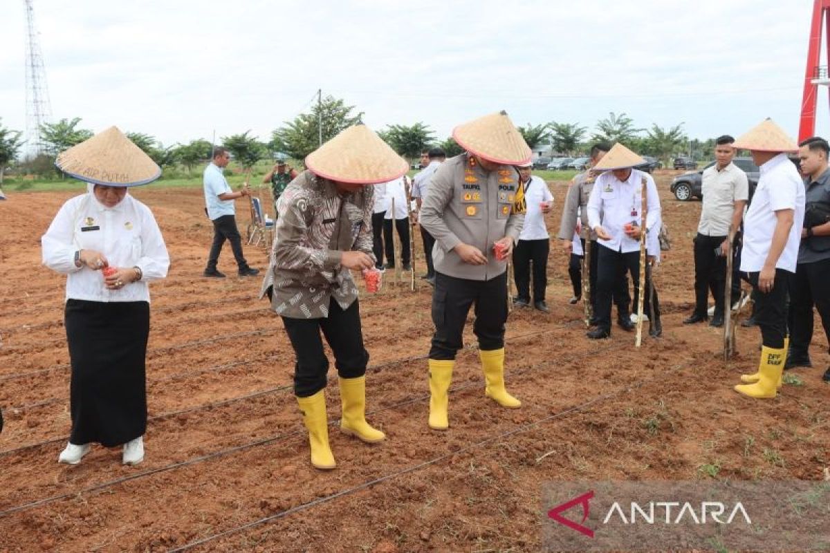 Polres Batu Bara luncurkan gugus tugas ketahanan  pangan