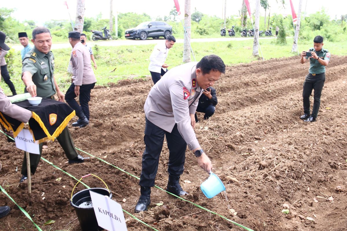 Polda Maluku tanam 3.000 bibit jagung di Leihitu dukung program ketahanan pangan