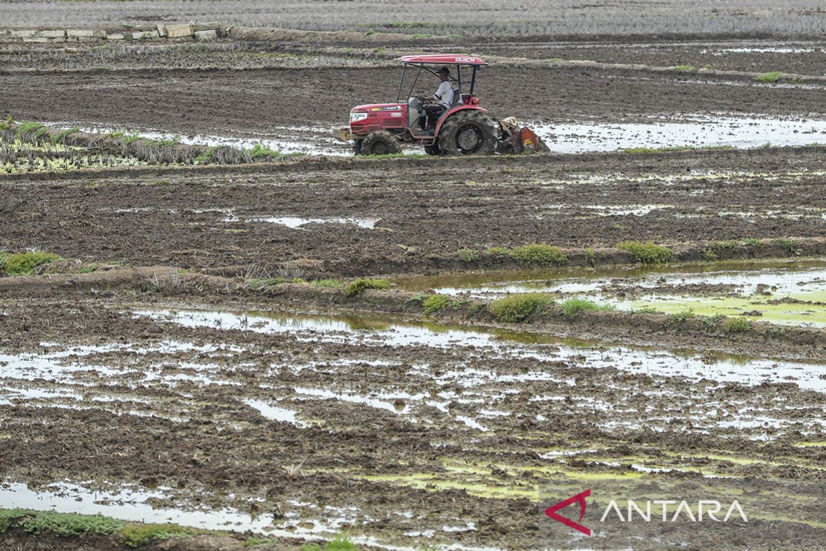 Alokasi dana desa untuk ketahanan pangan