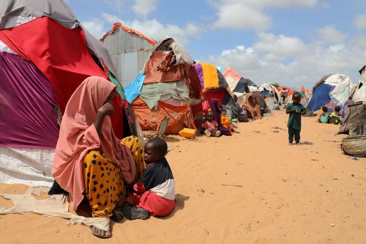 Pengungsi di Somalia tembus 420.000 orang dalam 10 bulan pertama 2024