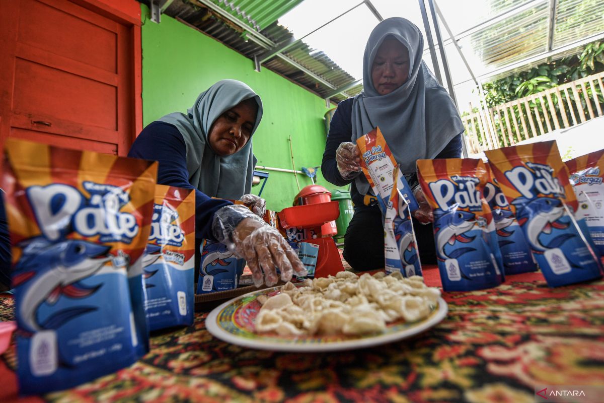 Pengamat nilai hapus tagih UMKM perlu aturan turunan