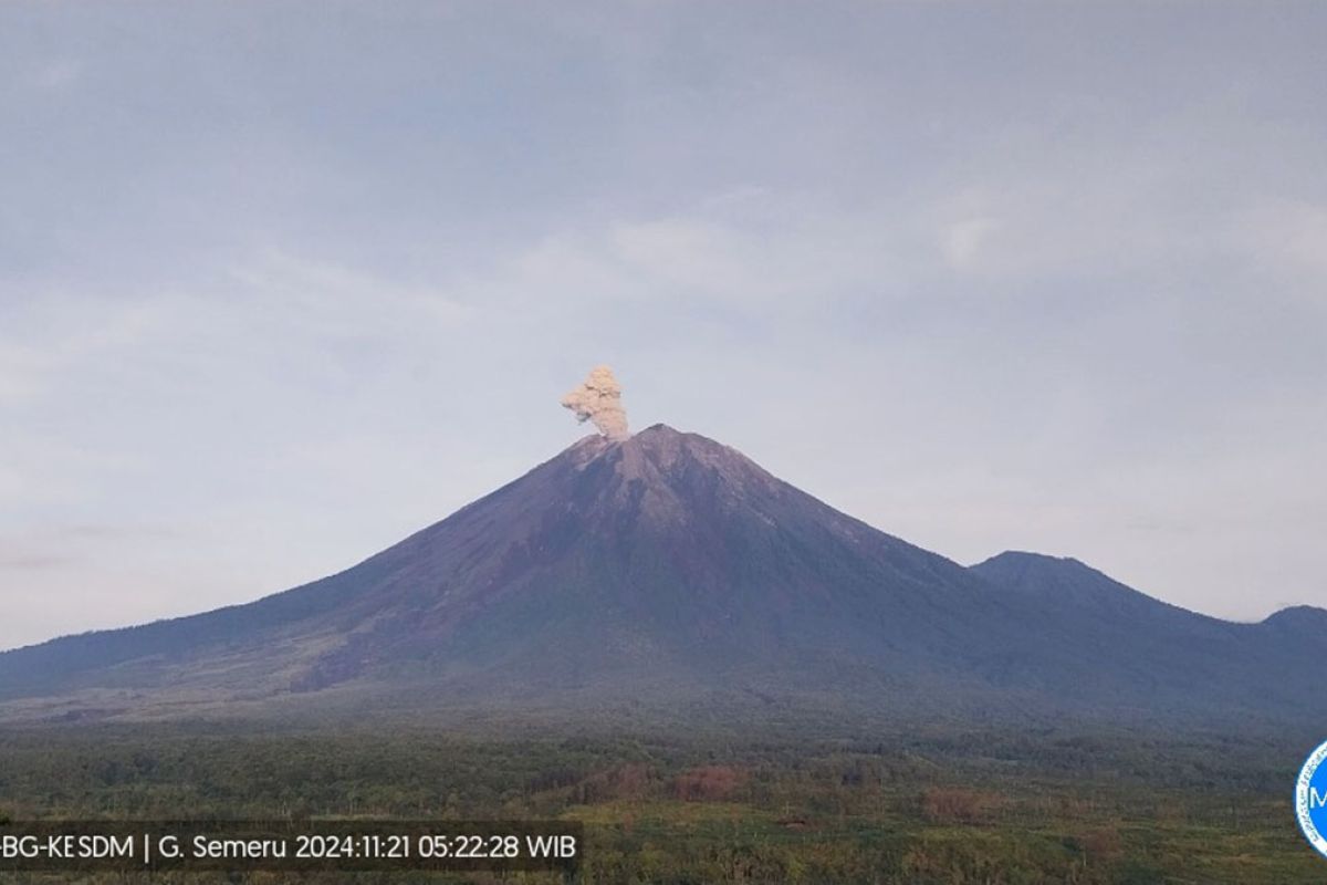 Gunung Semeru kembali erupsi dengan letusan setinggi 800 meter