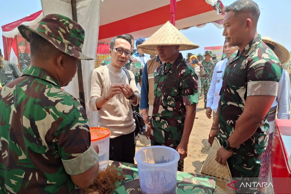 Korem 162/WB Lombok Timur dukung ketahanan pangan olah rumput laut jadi pupuk