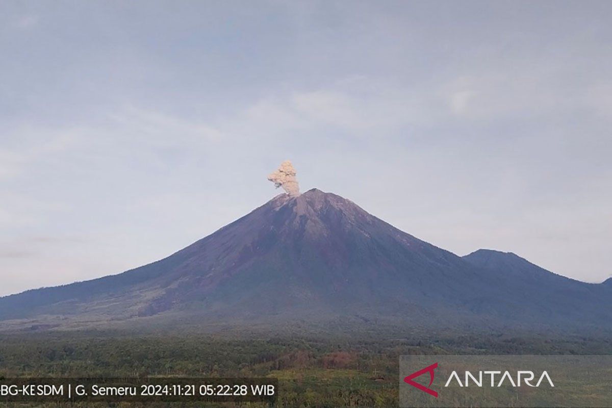 Gunung Semeru kembali erupsi dengan letusan setinggi 800 meter