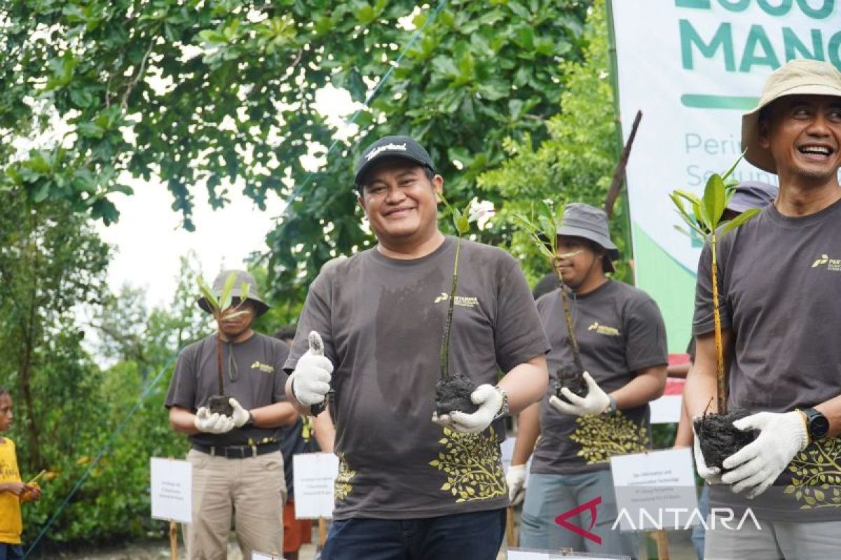 Kilang Pertamina tanam 2.000 pohon mangrove di Kampung Wayangkede, Papua Barat Daya