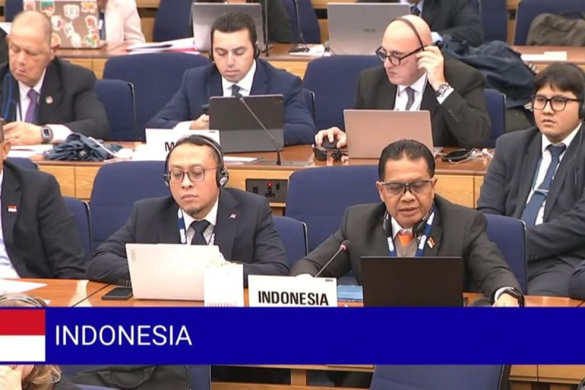 Indonesia menghadiri Sidang Dewan IMO ke-133 di London