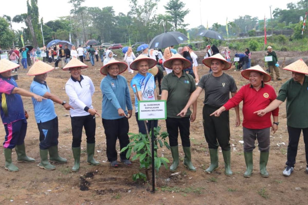 Pemprov Babel tanami buah lokal di 2,1 hektare lahan kritis