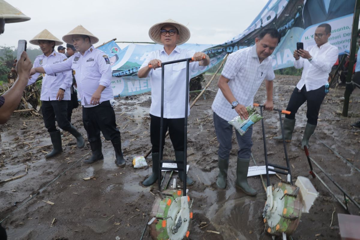 Mendes jadikan desa di Serang proyek percontohan swasembada pangan