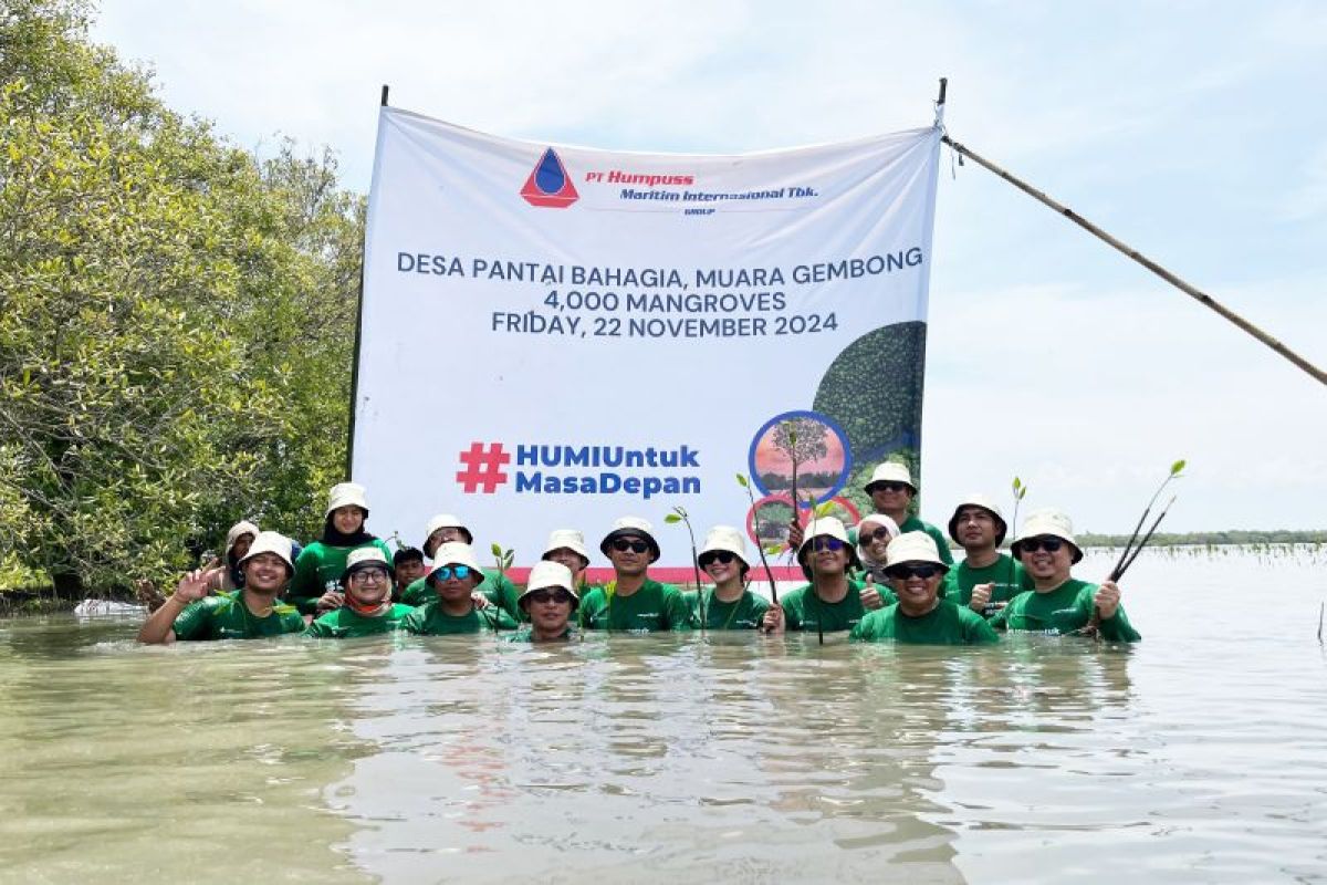 HUMI tanam 4.000 bibit mangrove untuk keberlanjutan dan mitigasi perubahan iklim