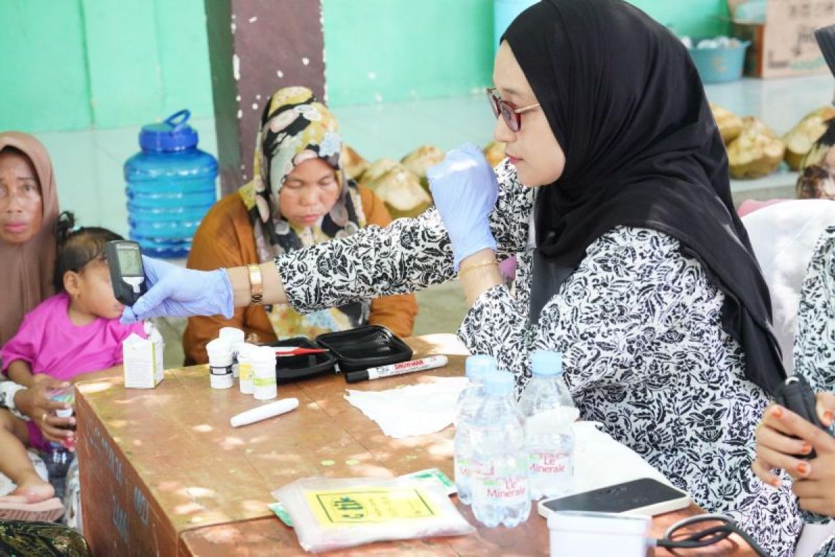 YBM PLN tingkatkan kesehatan ibu dan anak di Pulau Liukang Loe Bulukumba