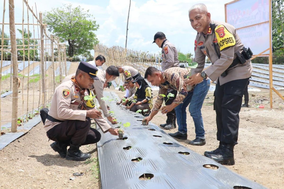 Polres Bursel tanam 2.240 bibit sayur dukung ketahanan pangan nasional