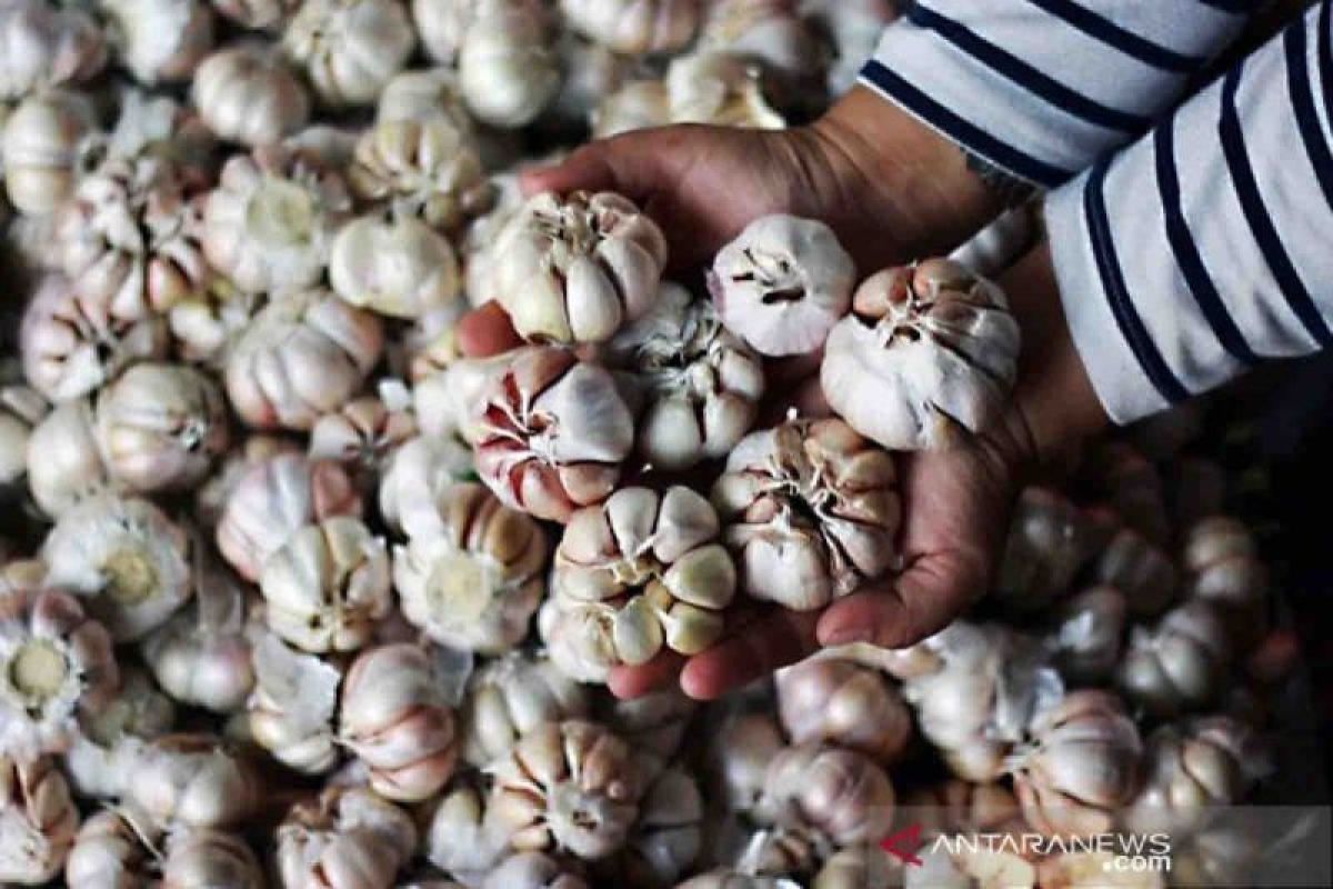 Harga pangan pada Minggu, bawang putih naik jadi Rp41.840 per kg