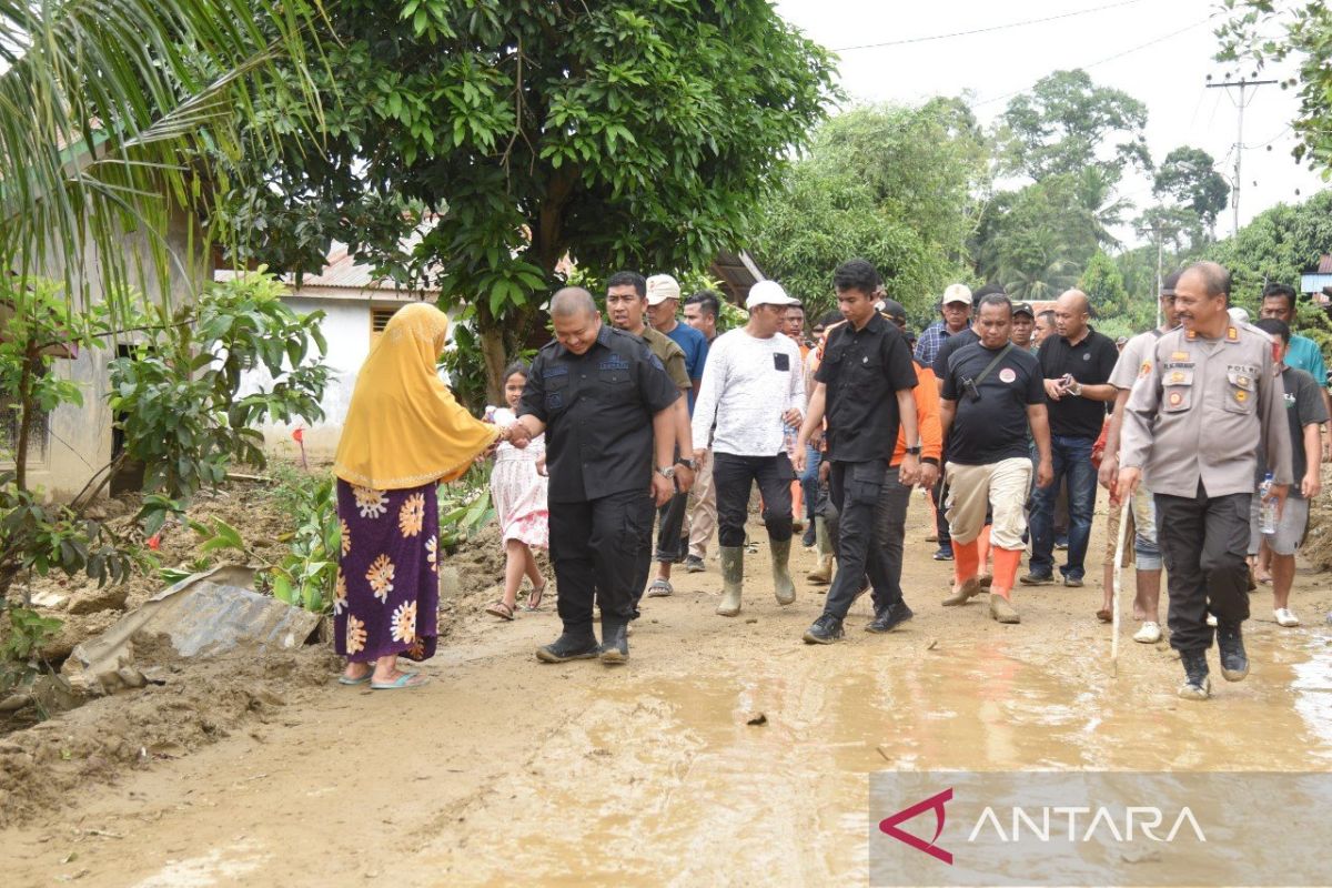 Dolly Pasaribu tinjau wilayah terdampak banjir bandang di Tapanuli Selatan