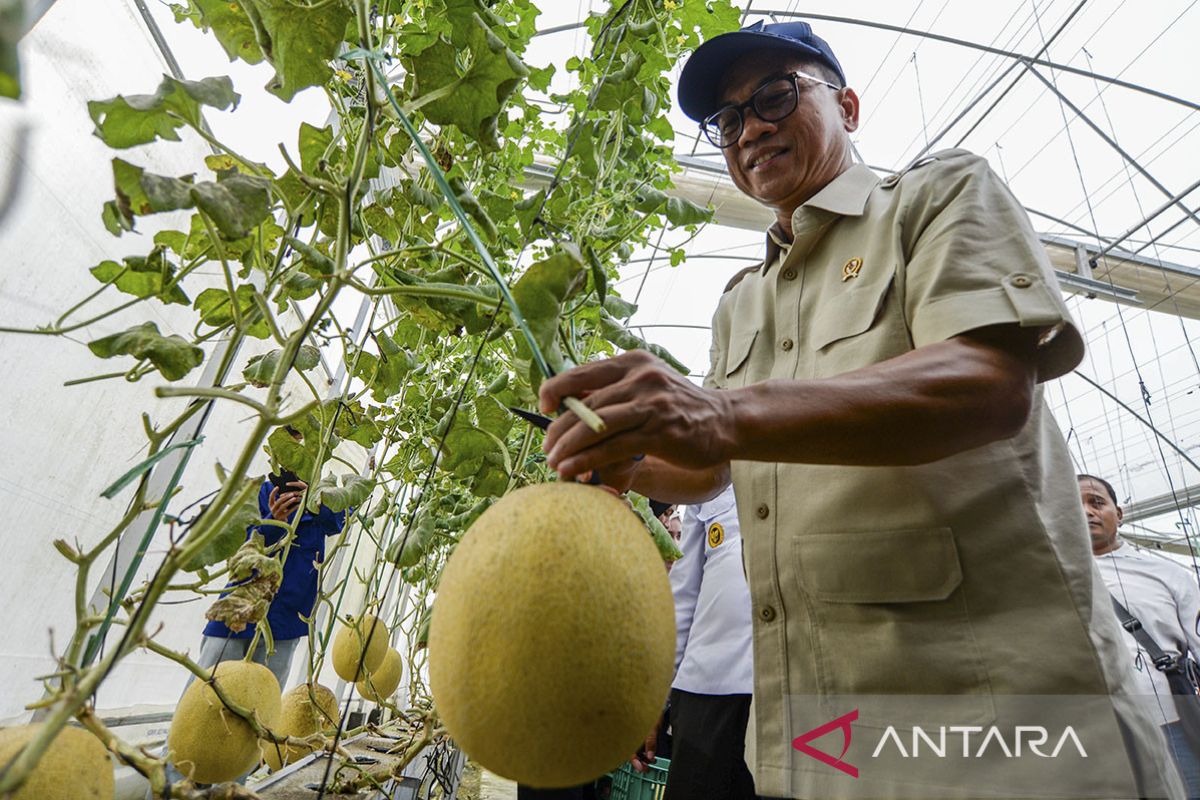 Kunjungan Mendes PDT di Kabupaten Serang