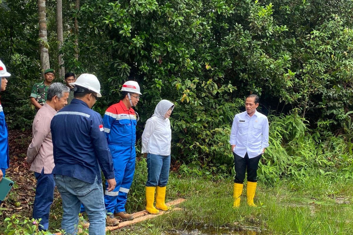 KLH minta percepatan pemulihan tanah terkontaminasi di Tahura Riau