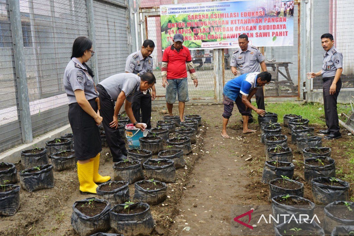 Lapas Medan dukung program ketahanan pangan dengan beri pupuk cair pada tanaman cabai rawit