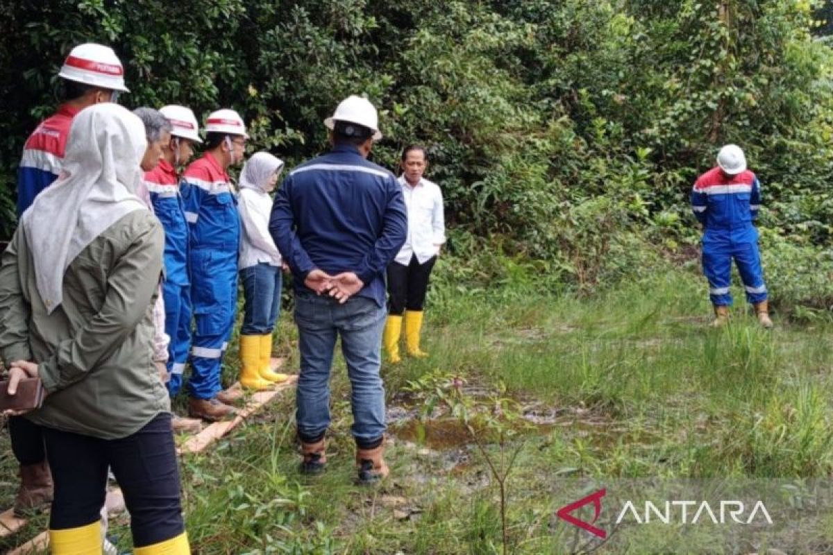 Menteri LH beri Pertamina waktu dua tahun pulihkan tanah terkontaminasi minyak di Siak